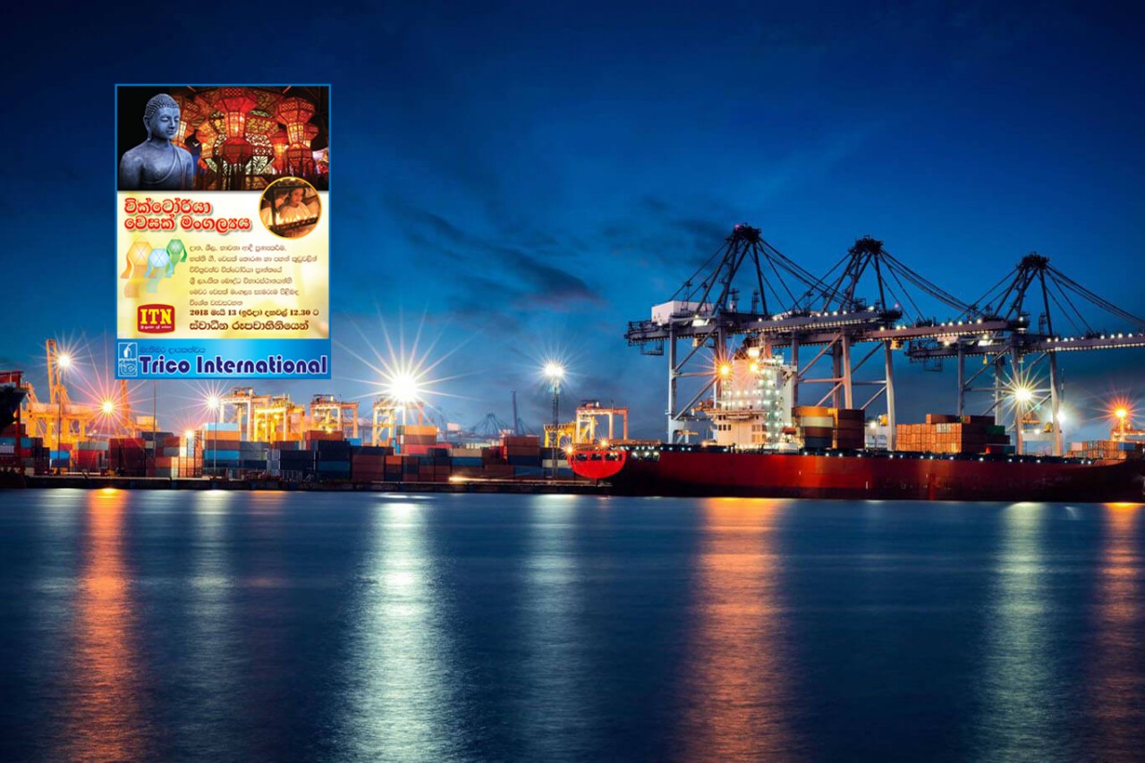 trico international